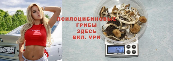 Альфа ПВП Армянск